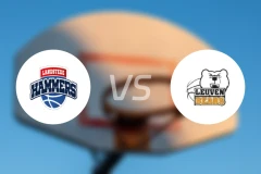 兹沃勒vs鲁汶熊比分预测【2025/11/02】