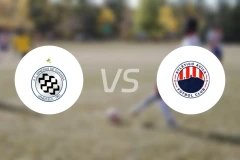 瓜亚那矿工vs阿维拉竞技比分预测【2026/04/12】