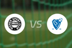 维也纳SCvs罗格尼兹比分预测【2025/11/22】