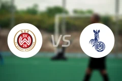 韦恩威斯巴登vs杜伊斯堡比分预测【2026/02/14】