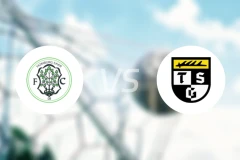 洪堡vs巴林根比分预测【2026/02/21】