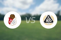 雷欧贝多夫vs克林斯马比分预测【2026/02/28】