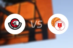 维科斯vs帕内利特莱克斯比分预测【2026/01/17】