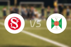 桑德维根斯vs瓦尔贝里比分预测【2026/04/12】