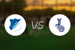 霍芬海姆青年队vs杜伊斯堡比分预测【2025/11/22】