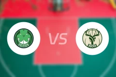 凯尔特人vs雄鹿比分预测【2025/12/12】