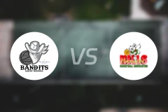 奥伯里沃东加大盗女篮vs希尔斯黄蜂女篮比分预测【2026/04/18】