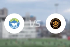 FC宾高vs卡域克流浪比分预测【2025/11/01】