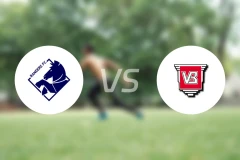 兰讷斯vs瓦埃勒比分预测【2026/02/14】