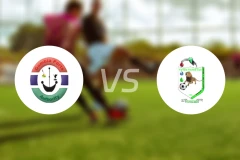 冈比亚港vs福琴比分预测【2026/01/20】