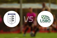 马里体育vs布古巴比分预测【2026/04/17】