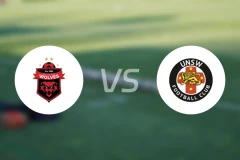 卧龙海岸狼队vs新南威尔士大学比分预测【2026/02/15】