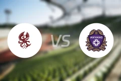 光州FCvs安养FC比分预测【2025/10/25】
