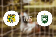 布拉希莱恩斯vs加马比分预测【2026/01/26】