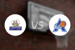 斯文堡格vs阿玛格比分预测【2025/11/23】