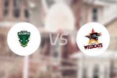 塔斯马尼亚跳伞蚁vs珀斯野猫比分结果战报【2024/10/06】