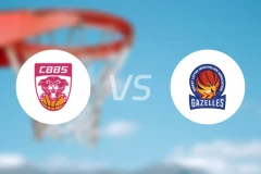 查内勃艮第南部女篮vs蒙彼利埃女篮比分预测【2025/12/12】