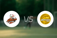 阿莱布里赫vs黄金河虎比分预测【2026/02/28】