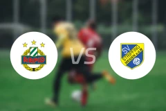 维也纳快速青年队vs斯特利费宁比分预测【2026/04/25】