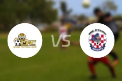 古玛老虎vs奥康诺骑士比分预测【2026/03/28】