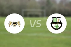 哈尔迪亚vs多哈国民比分预测【2025/10/30】