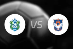 湘南丽海vs新潟天鹅比分结果战报【2025/11/08】