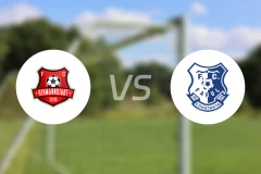 赫曼施塔特vs法鲁尔比分预测【2026/04/11】