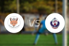 施塔德勒纳尔vs杜阿拉迪纳摩比分预测【2026/02/15】