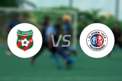 施瓦伊格vsFC斯特姆豪岑贝格比分预测【2025/11/15】