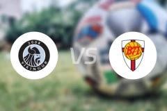 戈塔维京人二队vsB71莎杜比分预测【2026/03/13】