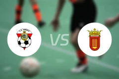 阿尔内多vs维安纳斯比分预测【2025/11/23】