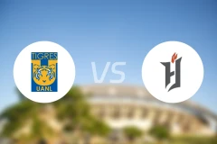 老虎大学vs弗尔戈FC比分预测【2026/02/11】