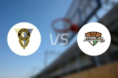 瓦布希克vs斯特梅特绿山城比分预测【2026/01/25】