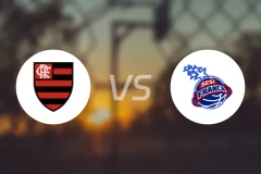 弗拉门戈vs弗兰萨比分预测【2026/02/20】