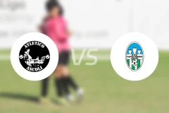 阿斯科利竞技vs卡斯特尔菲达多比分预测【2026/02/15】