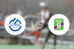 SV霍恩vs帕多夫比分预测【2025/11/01】