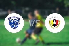 达根港vs蒂察尔阿尔曼比分预测【2025/12/30】