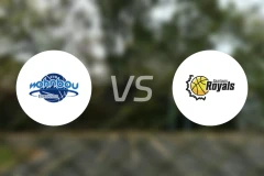 家园天使女篮vs萨尔路易斯女篮比分预测【2025/12/07】