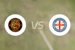 内湖公马女足vs墨尔本城女足录像回放【2025/11/16】