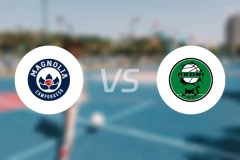 堪波巴索女篮vs布里女篮比分预测【2026/02/16】