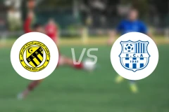 哈拉彻vsRC阿尔巴比分预测【2025/11/18】