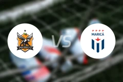 诺瓦伊古亚科vs马里卡比分预测【2026/02/17】