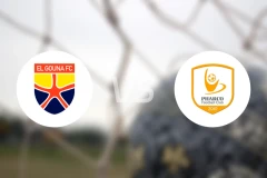 艾尔格纳vs佩哈亚克比分预测【2025/11/02】