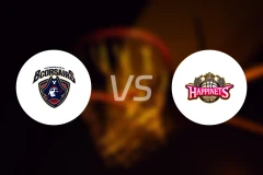 横滨海盗vs秋田北部喜悦比分结果战报【2026/04/08】