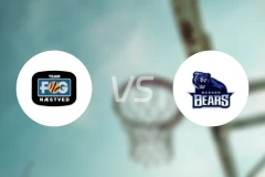 内斯提夫vs巴根熊比分预测【2026/02/17】