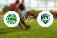 安雪平vsFC阿尔兰达比分预测【2025/10/19】