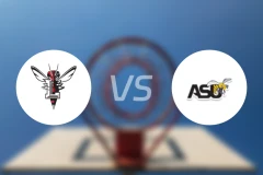 林奇堡大学vs阿拉巴马州立大学比分预测【2025/11/15】