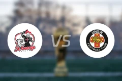 FC圣乔治vs新南威尔士大学比分预测【2026/02/28】