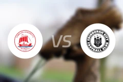 卡米隆青年vs爱丁堡城比分预测【2025/11/29】