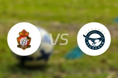 庆南FCvs城南FC比分预测【2024/10/27】